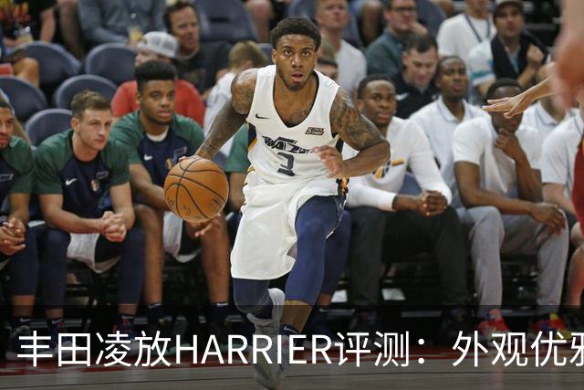 丰田凌放HARRIER评测：外观优雅但性价比缺失？